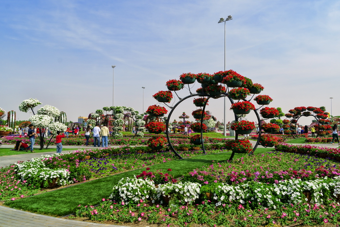 Фотографии Дубая (ОАЭ). Парк цветов Dubai Miracle Garden