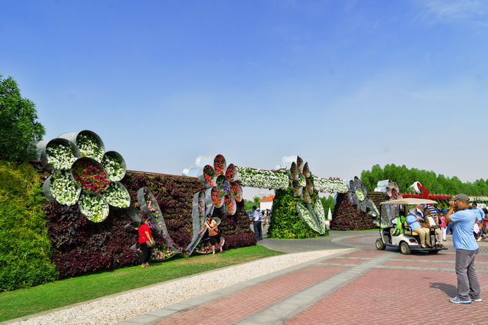 Фотографии Дубая (ОАЭ). Парк цветов Dubai Miracle Garden